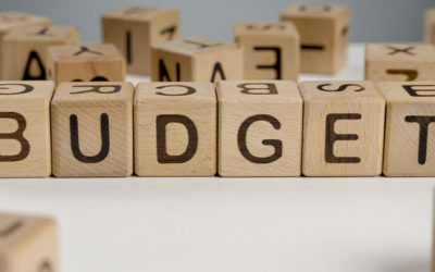 Quels sont les différents budgets du CSE ?