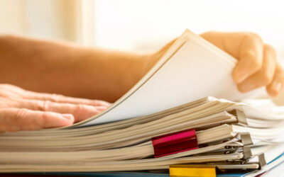 Rapport annuel d’activité et de gestion du CSE